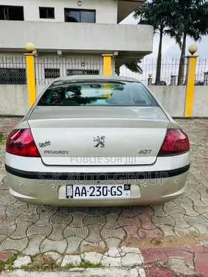 Peugeot 407 2000 Gris