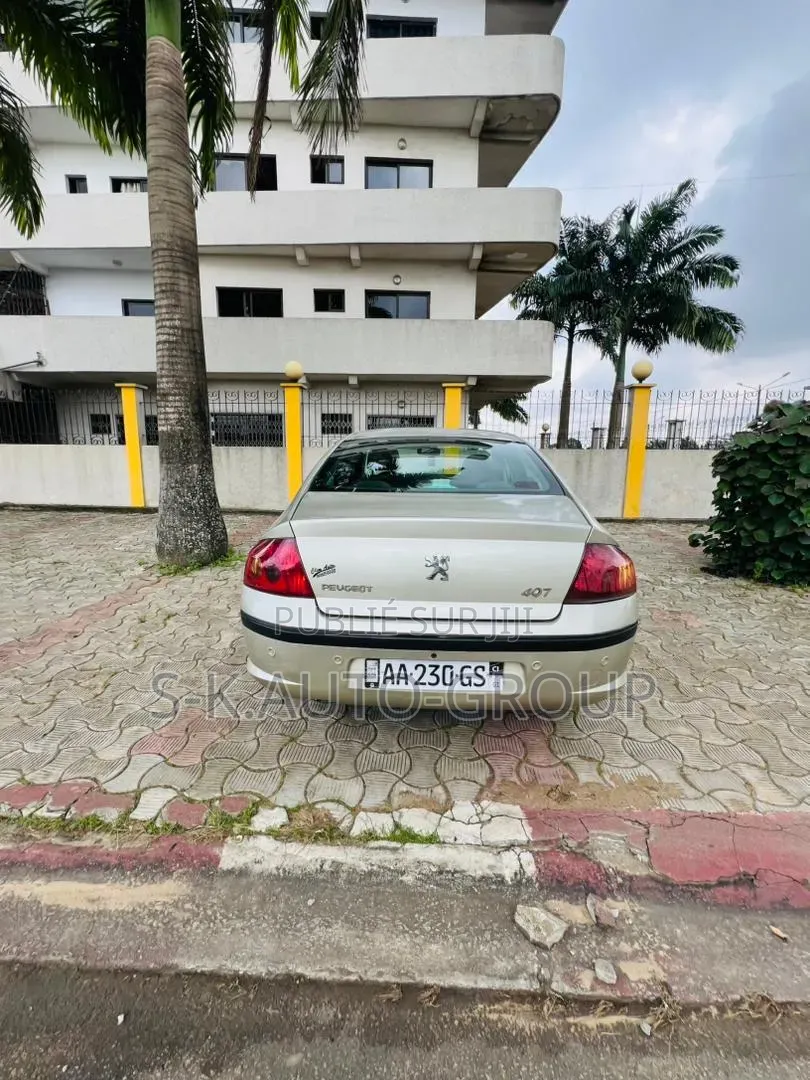 Peugeot 407 2000 Gris
