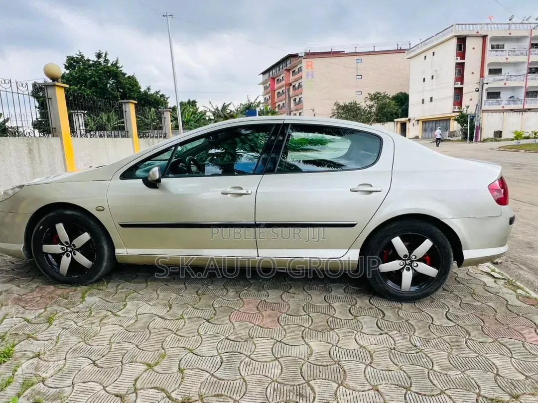 Peugeot 407 2000 Gris