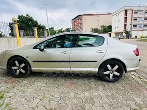 Peugeot 407 2000 Gris