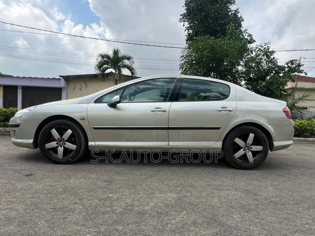 Peugeot 407 2000 Gris