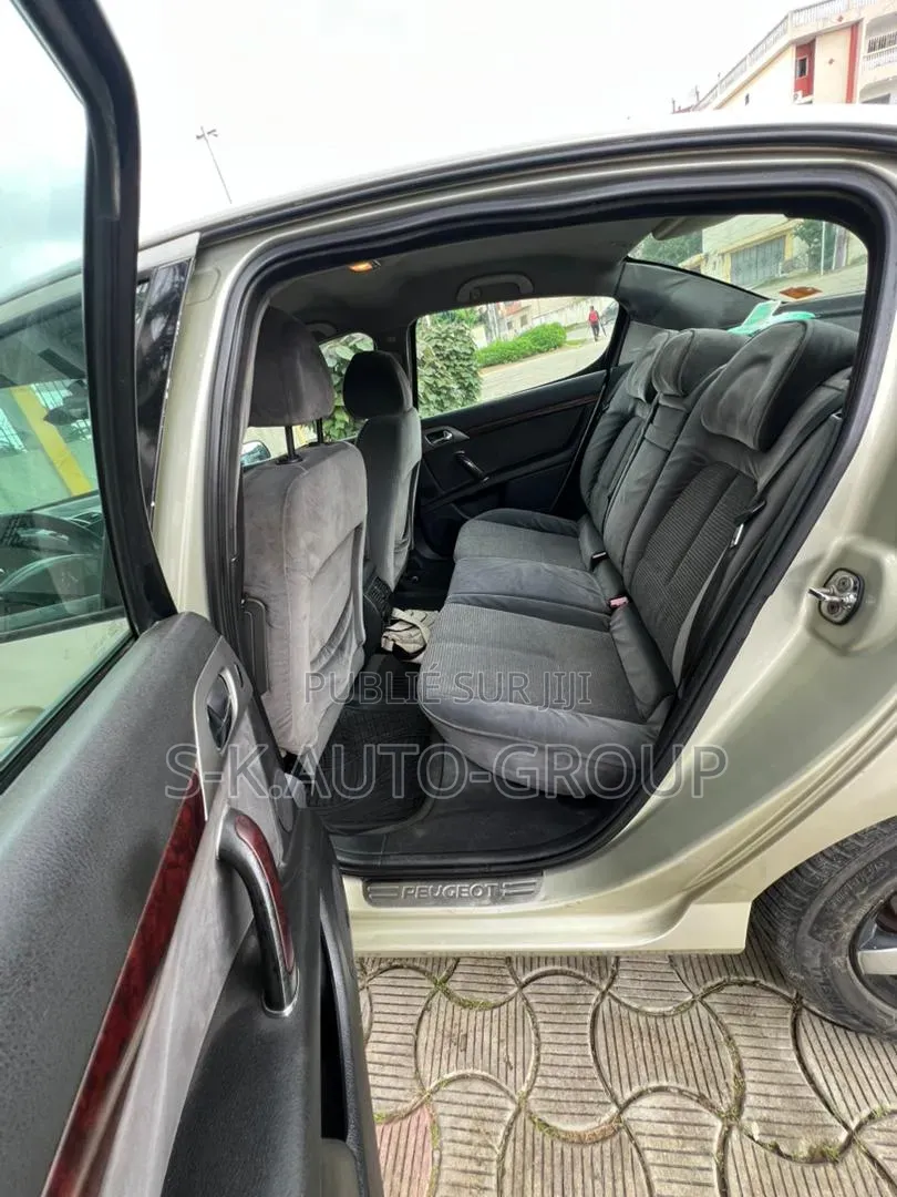 Peugeot 407 2000 Gris