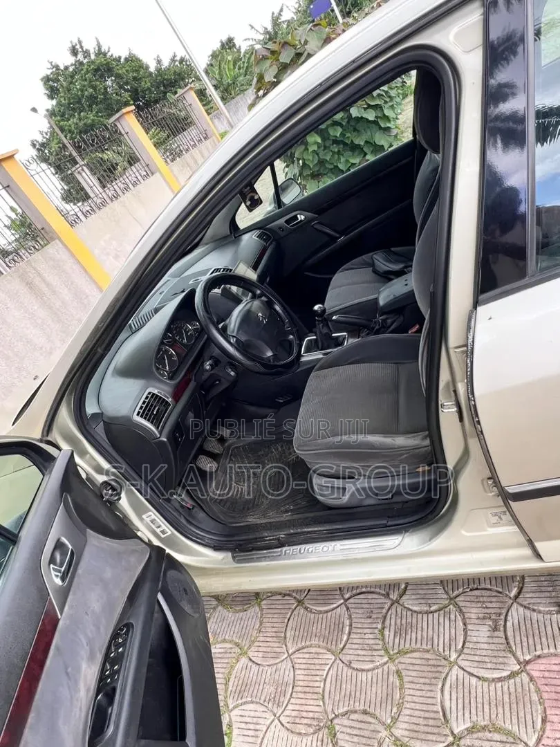 Peugeot 407 2000 Gris
