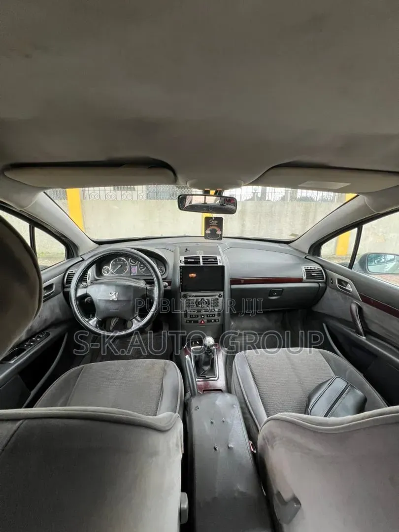 Peugeot 407 2000 Gris