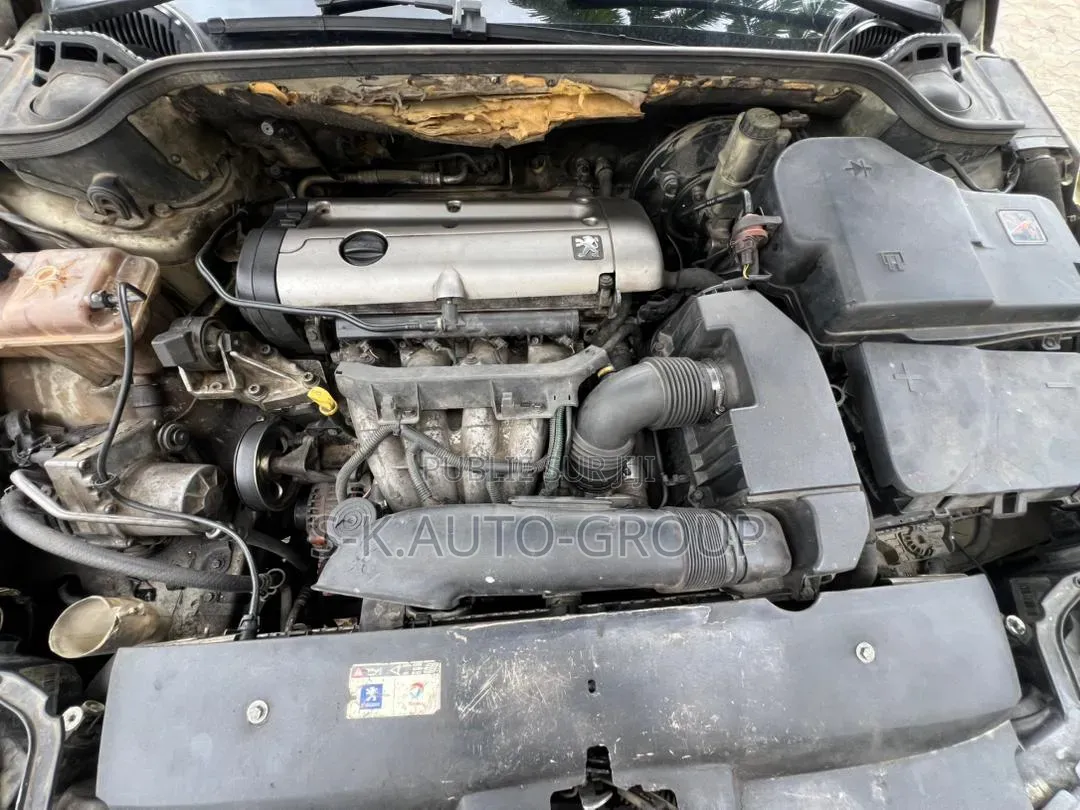 Peugeot 407 2000 Gris