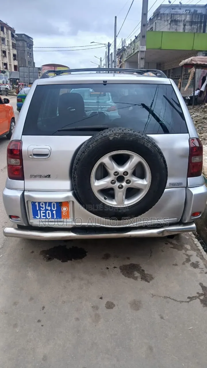 Toyota RAV4 2004 Gris