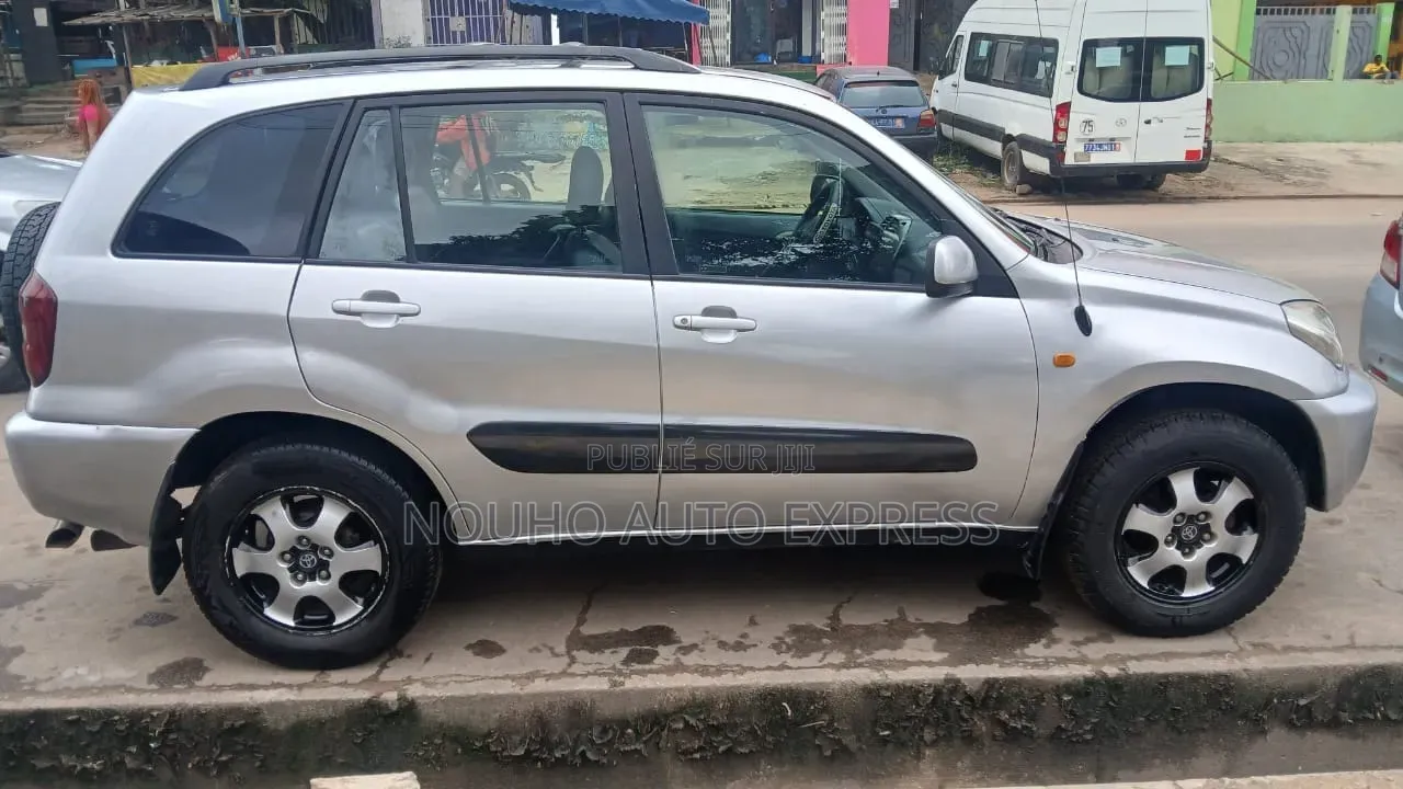 Toyota RAV4 2004 Gris