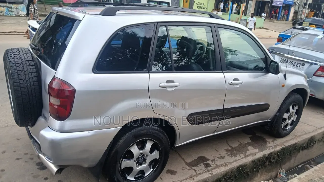 Toyota RAV4 2004 Gris