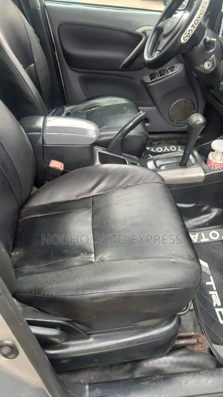 Toyota RAV4 2004 Gris