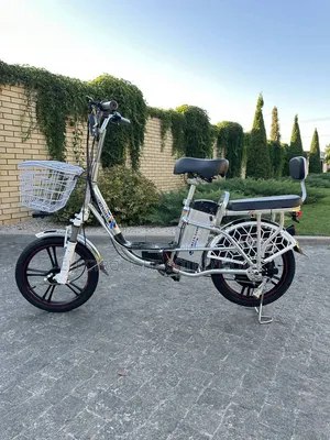 Vélo Électrique