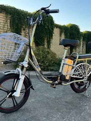 Vélo Électrique
