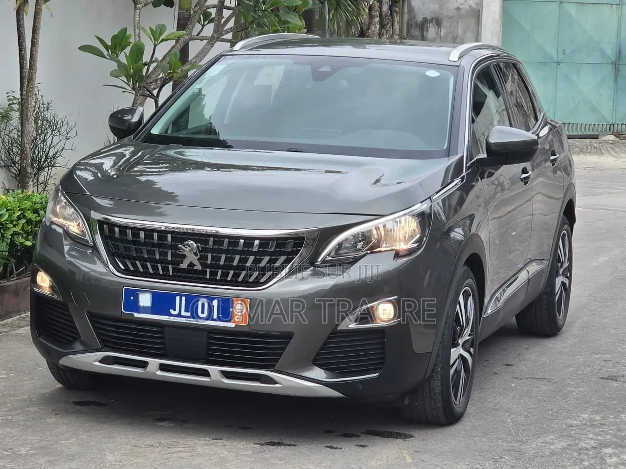 Peugeot 3008 2019 Gris