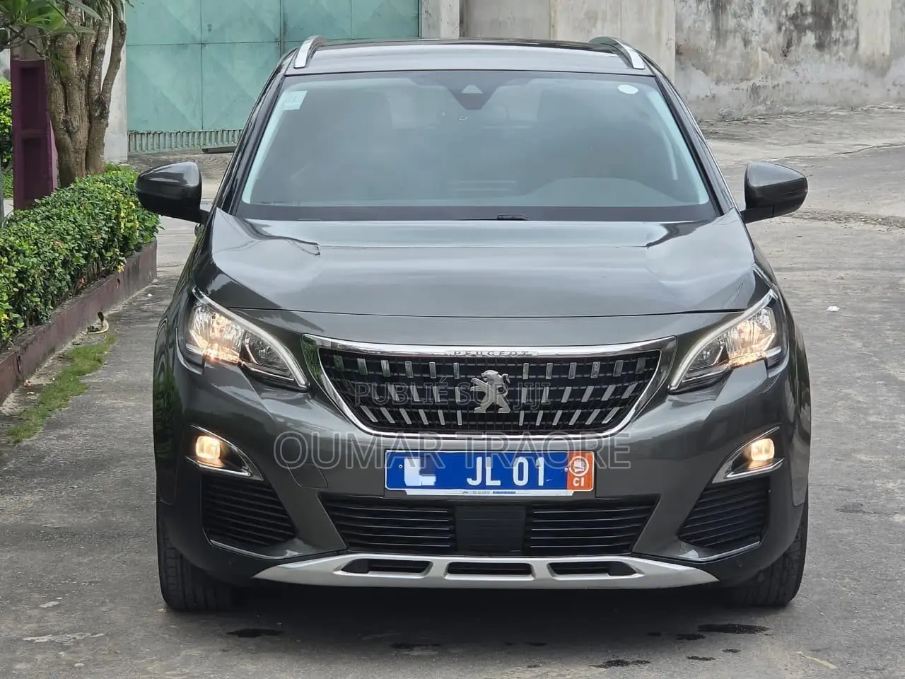Peugeot 3008 2019 Gris