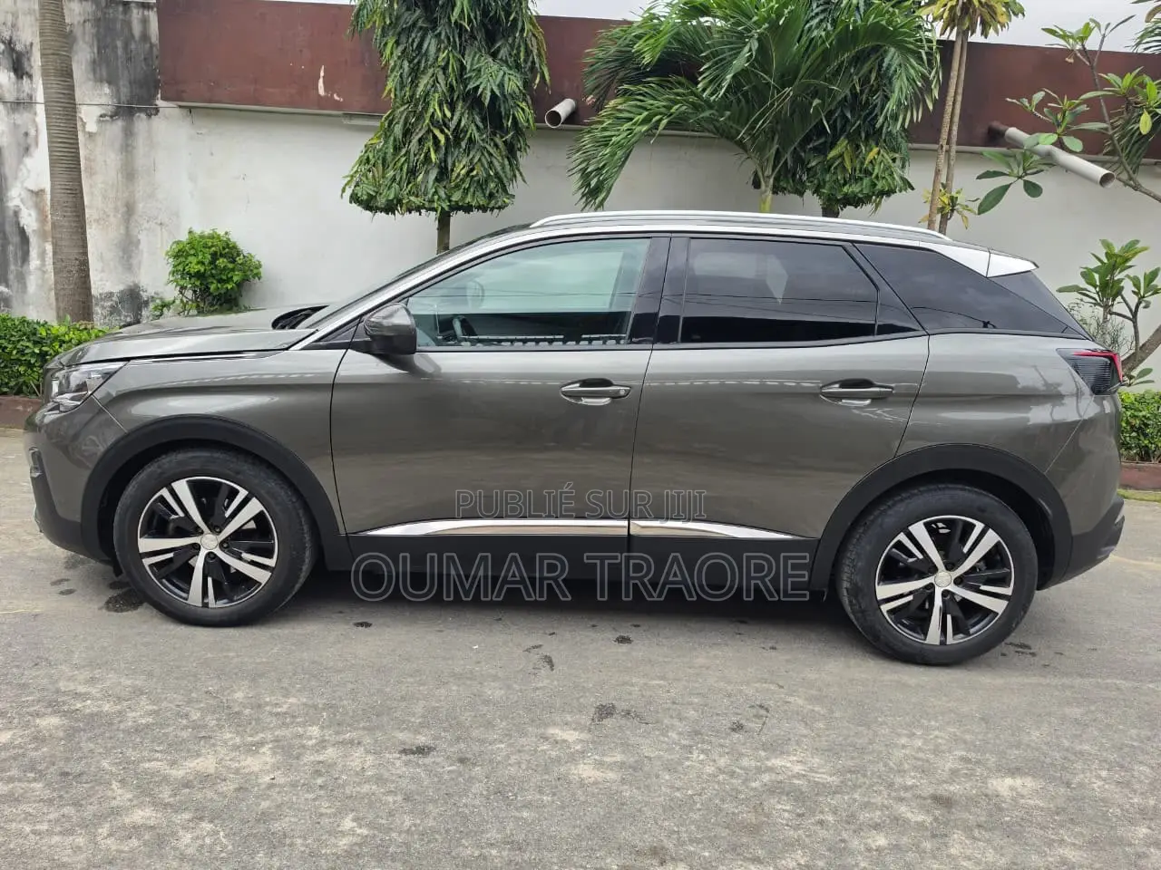 Peugeot 3008 2019 Gris