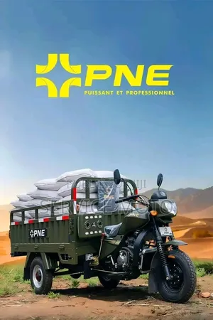 Nouveau Apsonic AP150ZH-200 2023 Autre