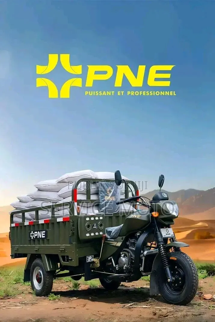 Nouveau Apsonic AP150ZH-200 2023 Autre