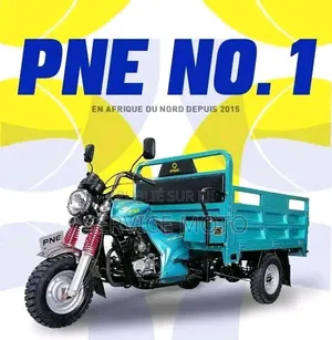 Nouveau Apsonic AP150ZH-200 2023 Autre