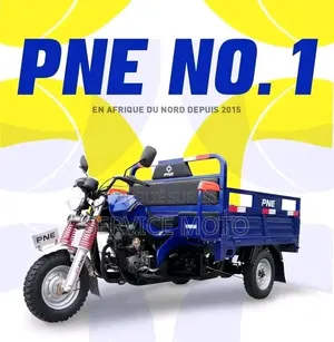 Nouveau Apsonic AP150ZH-200 2023 Autre