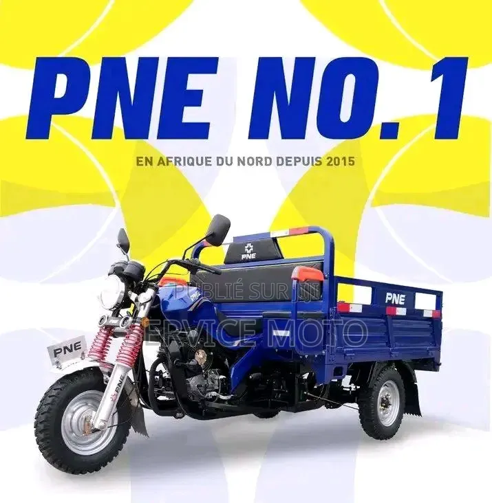 Nouveau Apsonic AP150ZH-200 2023 Autre