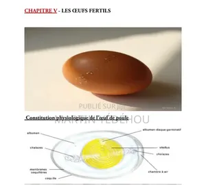 Les Clés d'Une Aviculture Puissante