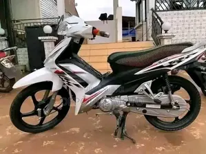 Nouveau Haojue HJ100T-5 2024 Gris