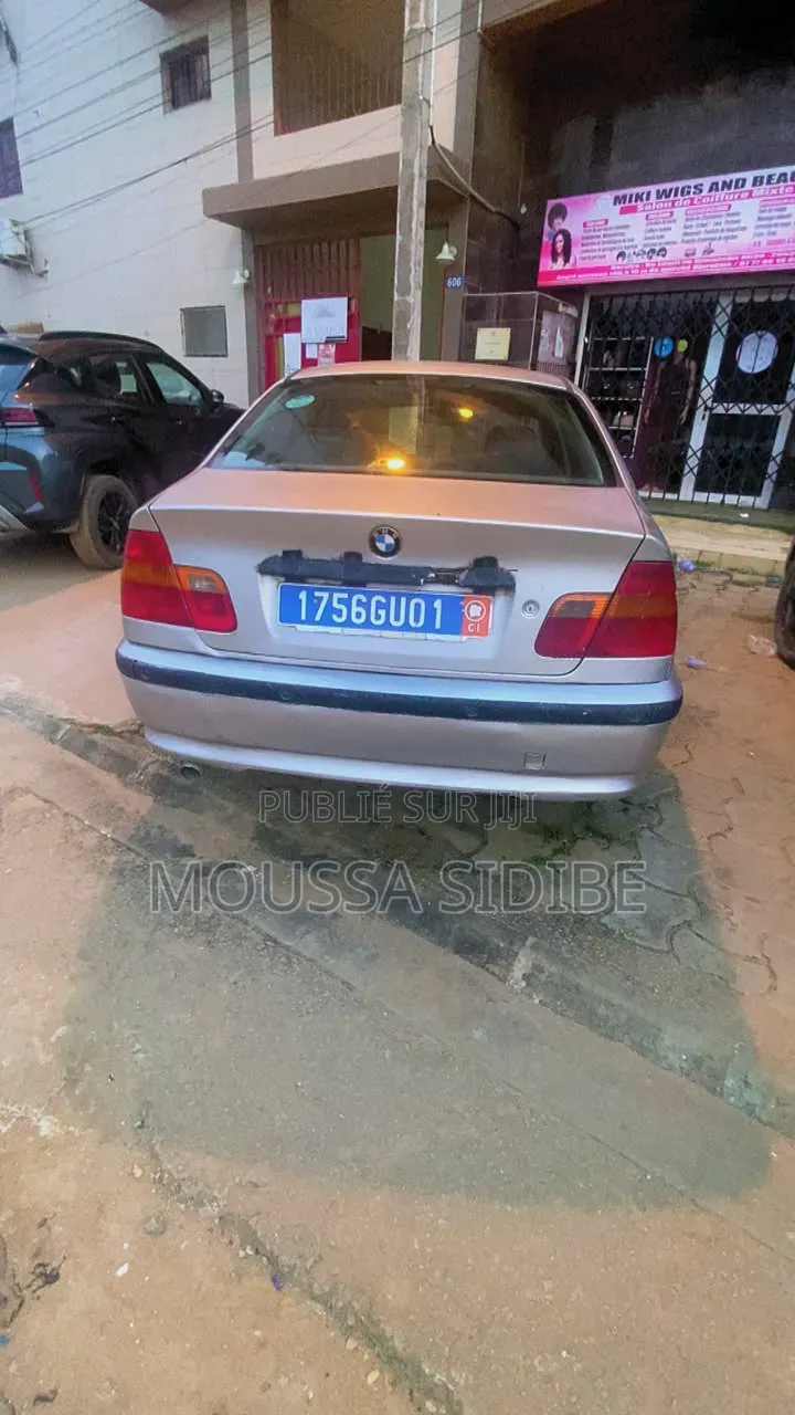 BMW 3 Series 2003 Gris