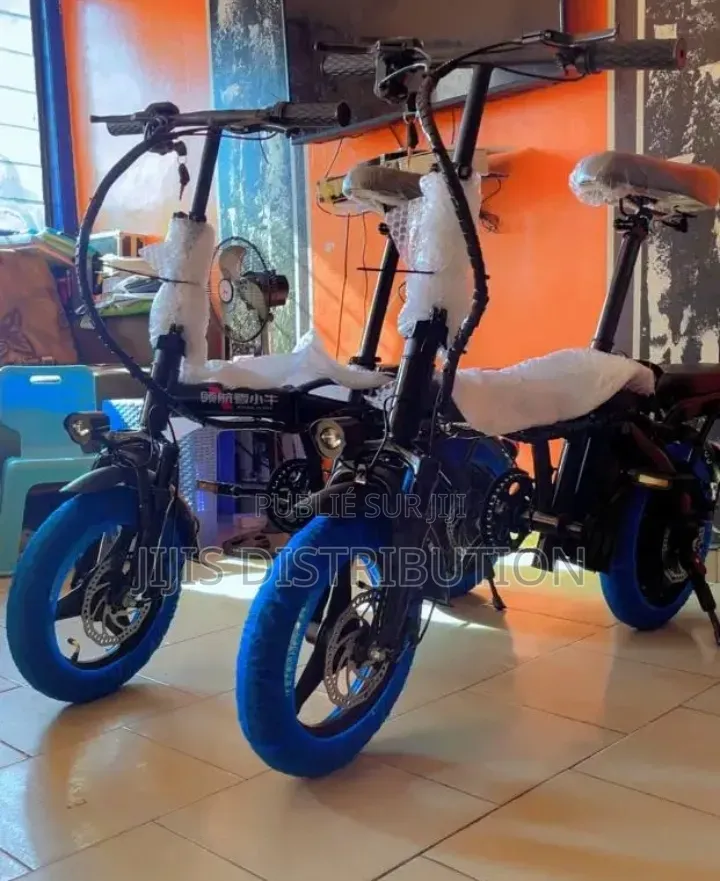 Trottinette Électrique