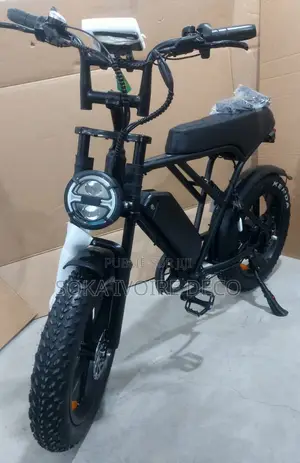 Vélo Électrique