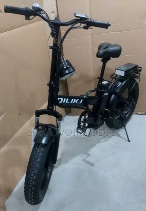 Vélo Électrique
