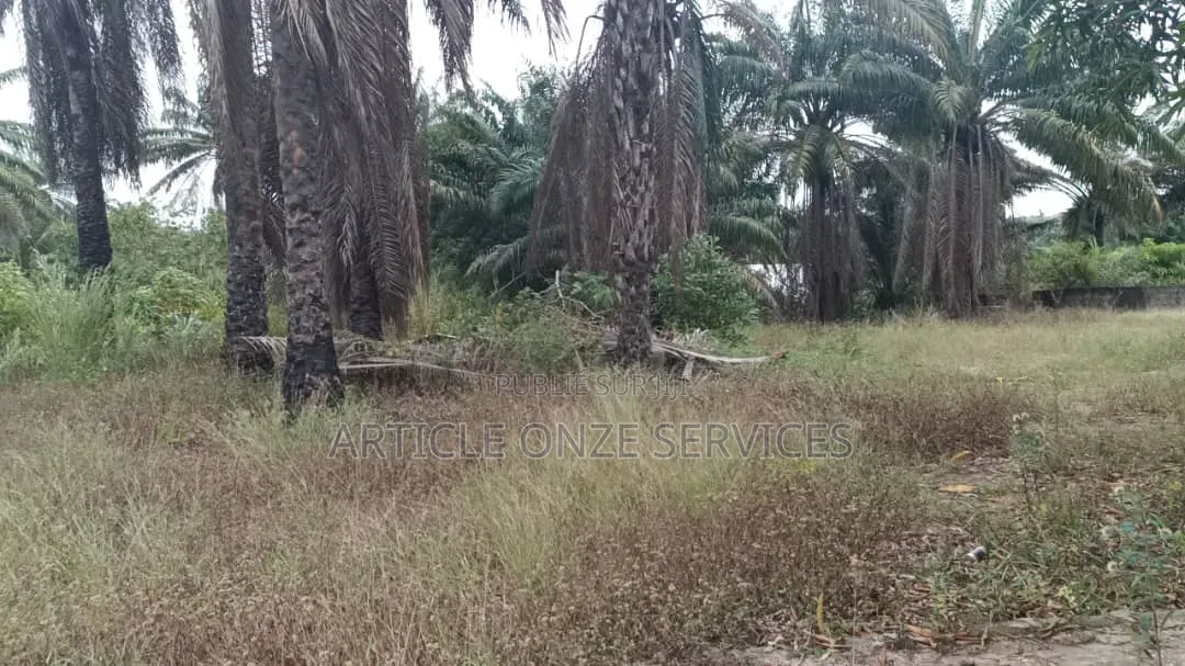 Très Belle Opportunité Fiable: Terrain 450 M2 Bingerville Anan
