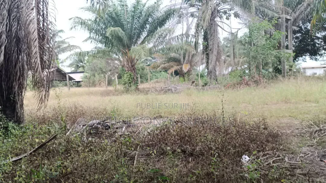 Très Belle Opportunité Fiable: Terrain 450 M2 Bingerville Anan