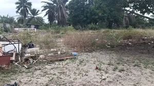 Très Belle Opportunité Fiable: Terrain 450 M2 Bingerville Anan