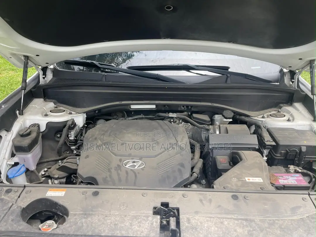 Hyundai Palissade 2020 Blanc