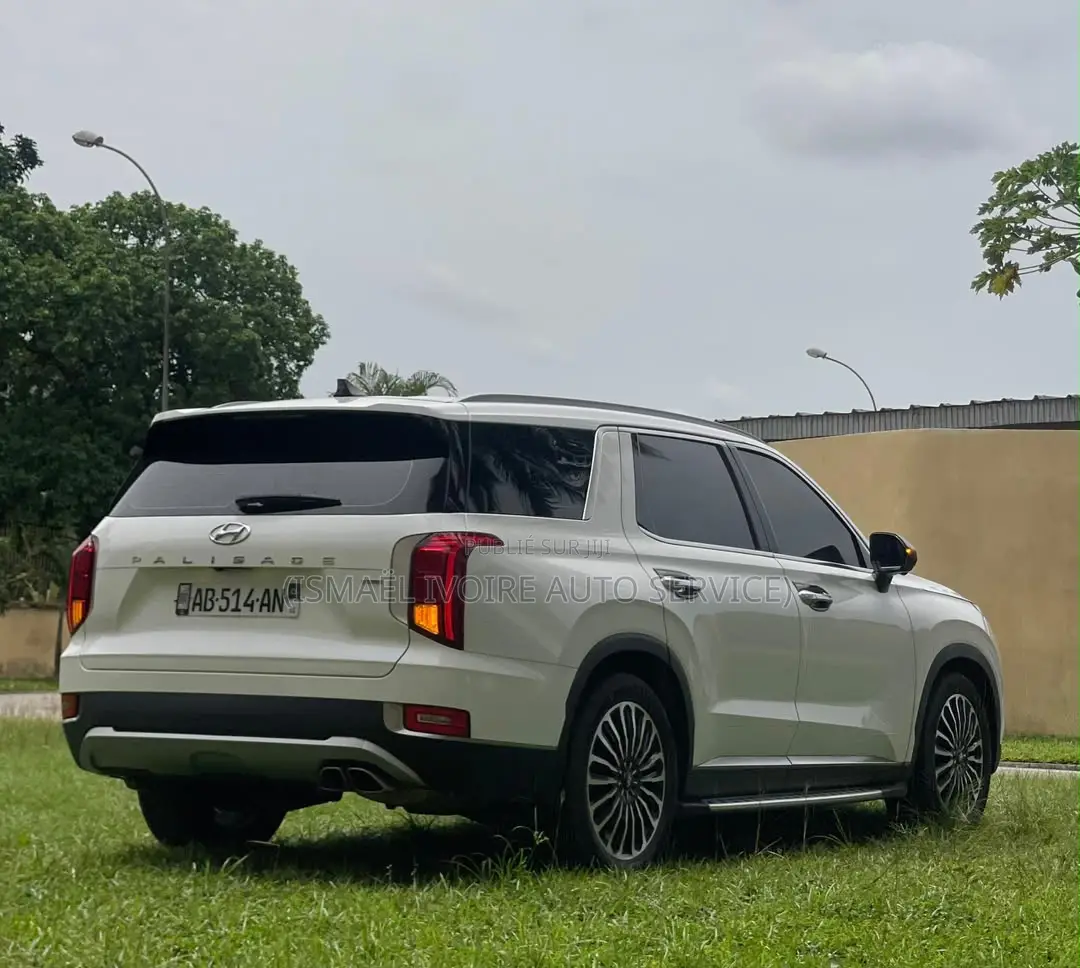 Hyundai Palissade 2020 Blanc