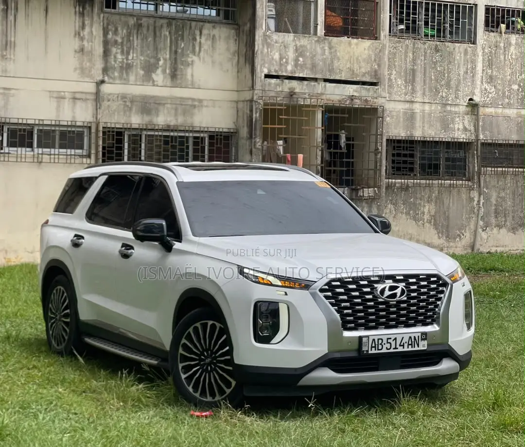 Hyundai Palissade 2020 Blanc
