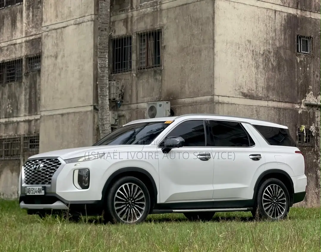 Hyundai Palissade 2020 Blanc