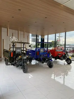 Nouveau Tricycle Ihemas 2023 Doré