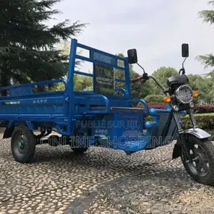 Nouveau Tricycle Autre 2025 Noir