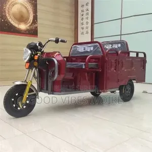 Nouveau Tricycle Autre 2025 Noir