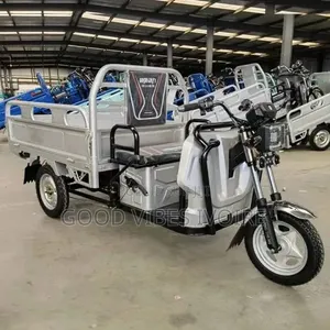 Nouveau Tricycle Autre 2025 Noir