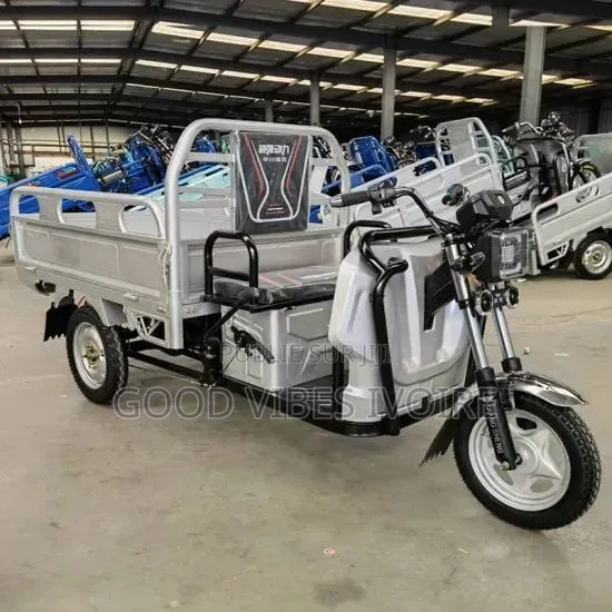 Nouveau Tricycle Autre 2025 Noir