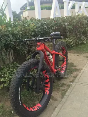 Vélo Électrique