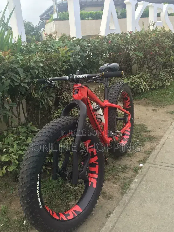 Vélo Électrique
