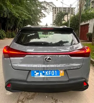 Lexus UX 2020 Autre