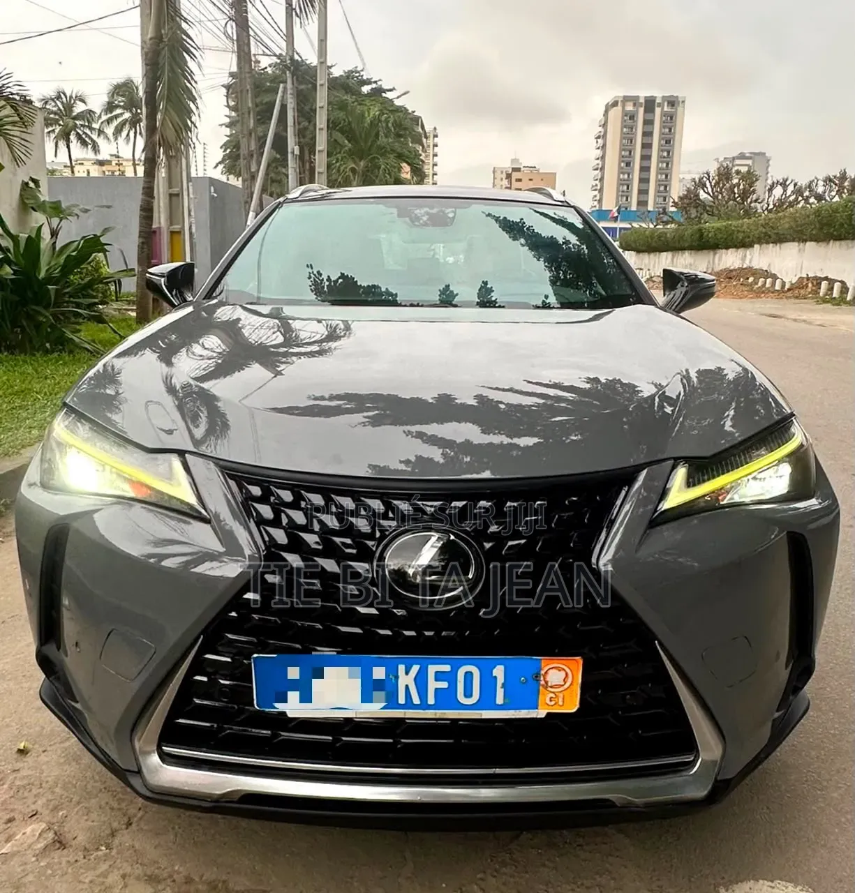 Lexus UX 2020 Autre