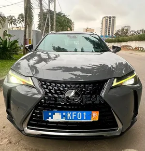 Lexus UX 2020 Autre