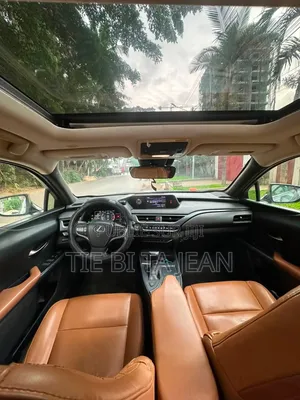 Lexus UX 2020 Autre
