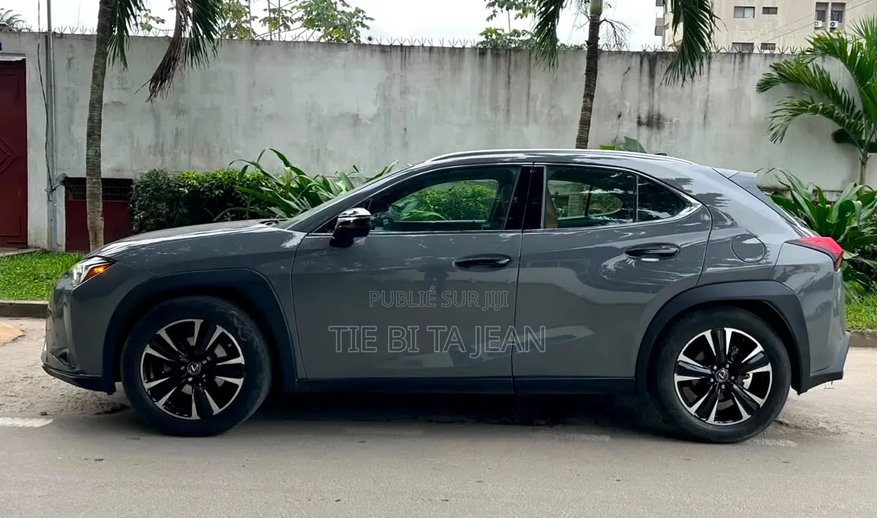Lexus UX 2020 Autre