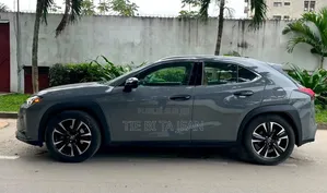 Lexus UX 2020 Autre