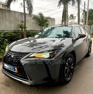 Lexus UX 2020 Autre